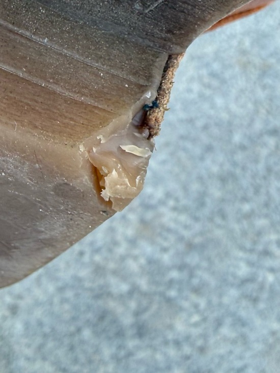 Tara M Lena Brown Leather Ankle Boots 41 - Picture 8 of 14